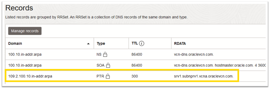 Zona DNS Privada #3