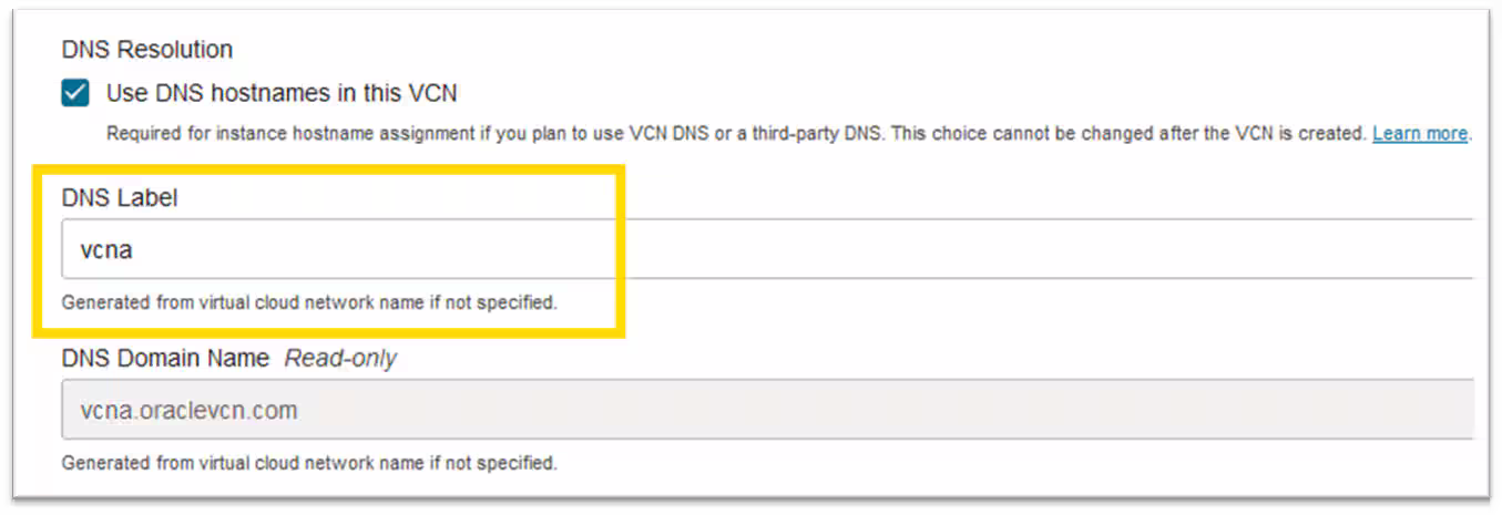 DNS Resolution #1