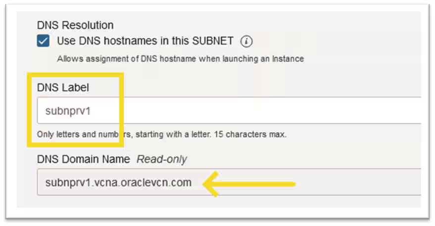 DNS Resolution #2