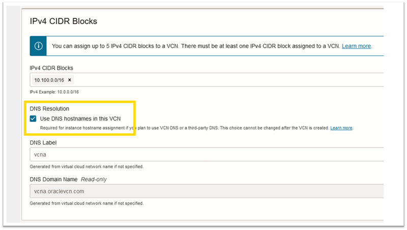DNS VCN #1