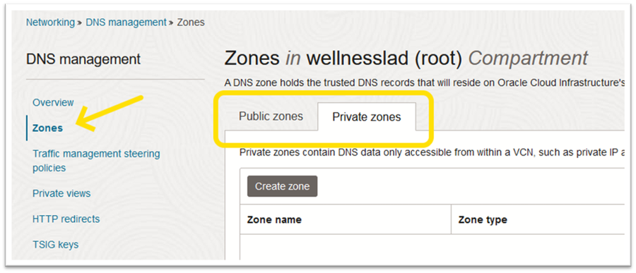Zona DNS #1