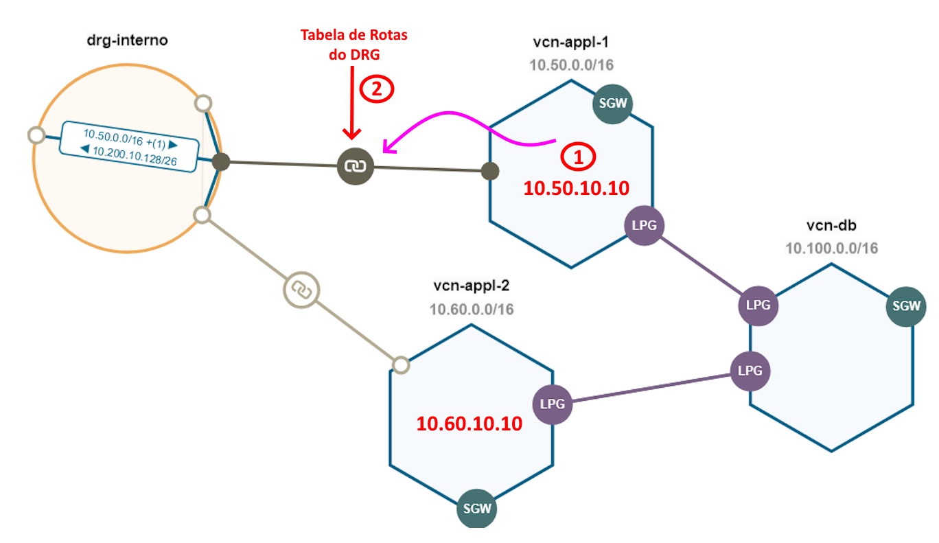 Network Viualizer #5