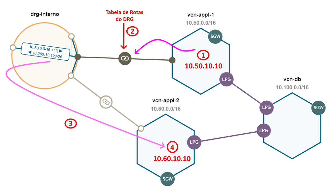 Network Viualizer #9
